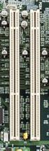 PCI_Slot_64_Bit_3_3V_.png